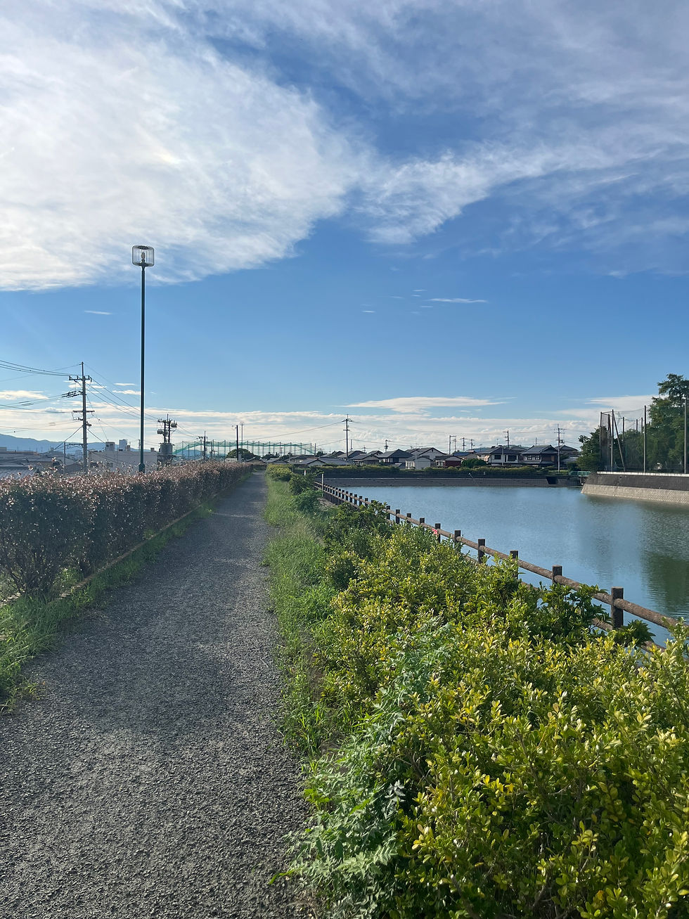 青空の下、池のほとりに続く道。これからの生き方や選択を見つめるイメージ
