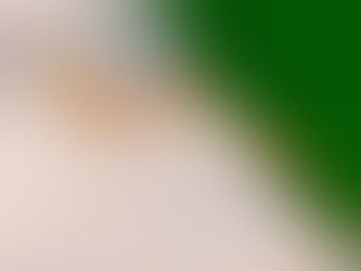 Quimicos para el control de plagas