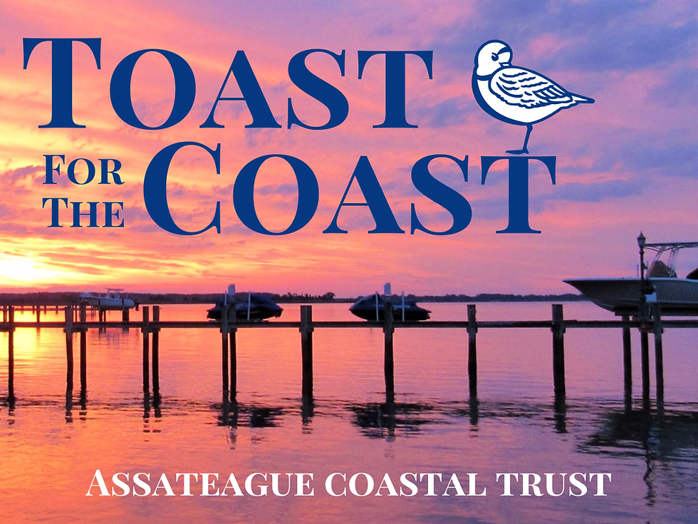 'Toast for the Coast'