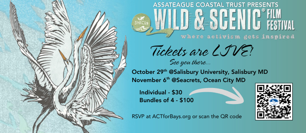 Assateague Coastal Trust WSFF Event 4.png