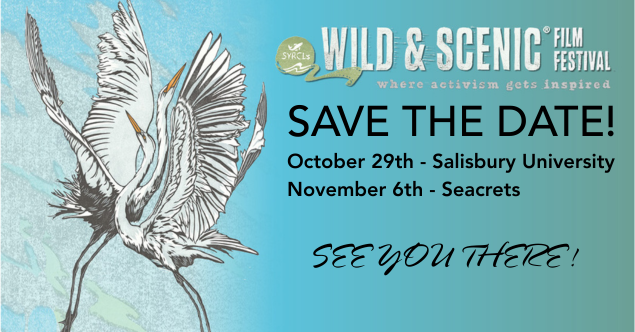 Wild & Scenic Film Festival at Seacrets