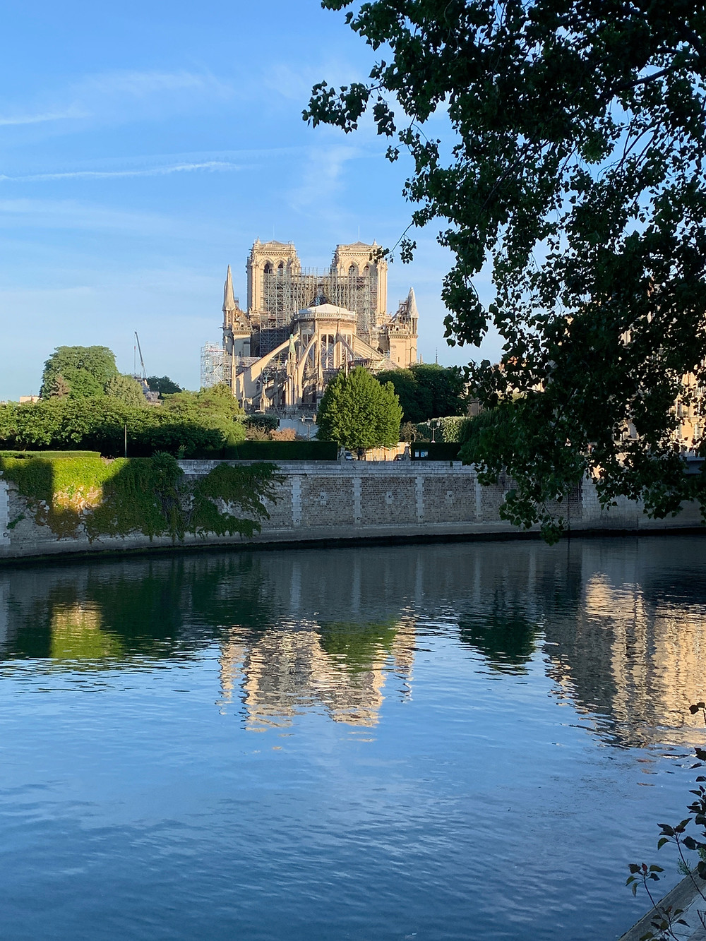 Notre Dame Cathedral (back view)