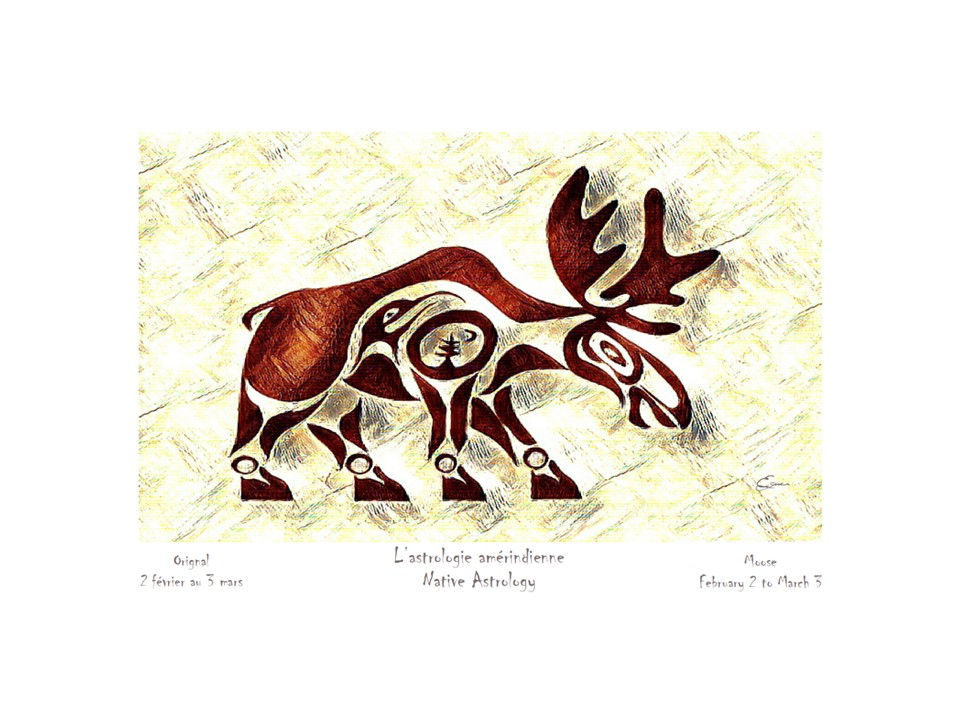 Orignal - Animal totem de naissance amérindien | Lazuli Kanata