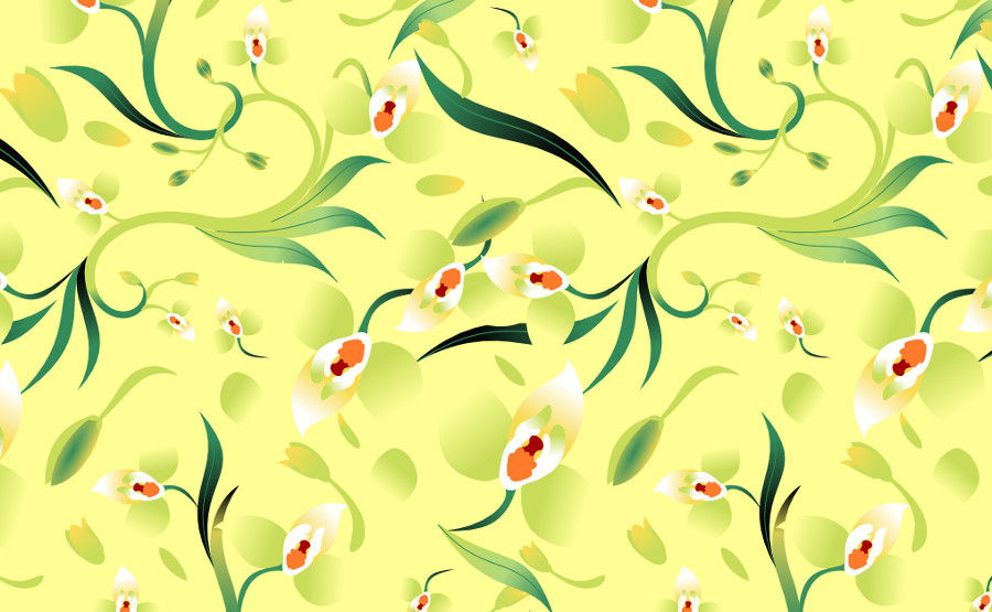 Cyannaeorchis arundinae