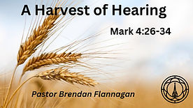 A Harvest of Hearing
