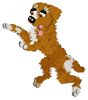 petz2.png