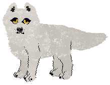 petz15.png