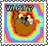 168853471_orig.gif