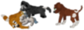 petz36.png
