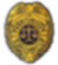 badge_trans-2_edited.png