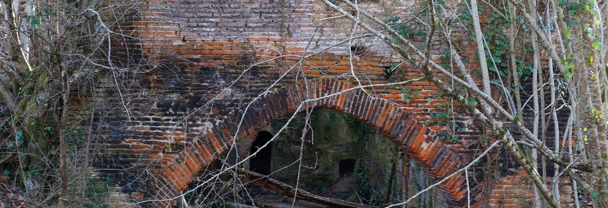 stage d'équitation éthologique Daux