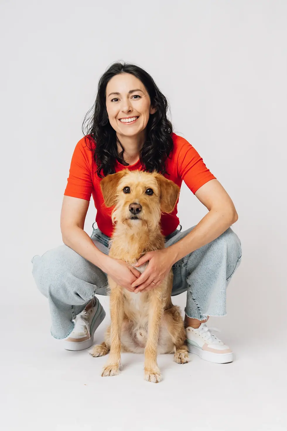 Anspruchsvolles Hundetraining - Sophisticated Dogs.webp