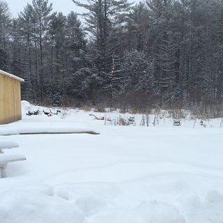 backyard game 3