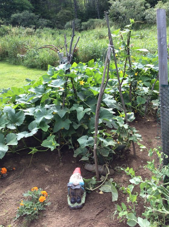 Garden Decor Inspiration