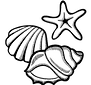 shells.png