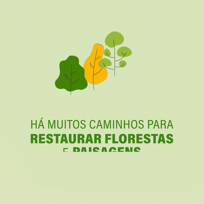 AF_WRI_InfograficoRestauracao_animacao_1_2_1 (MENOR 3).gif