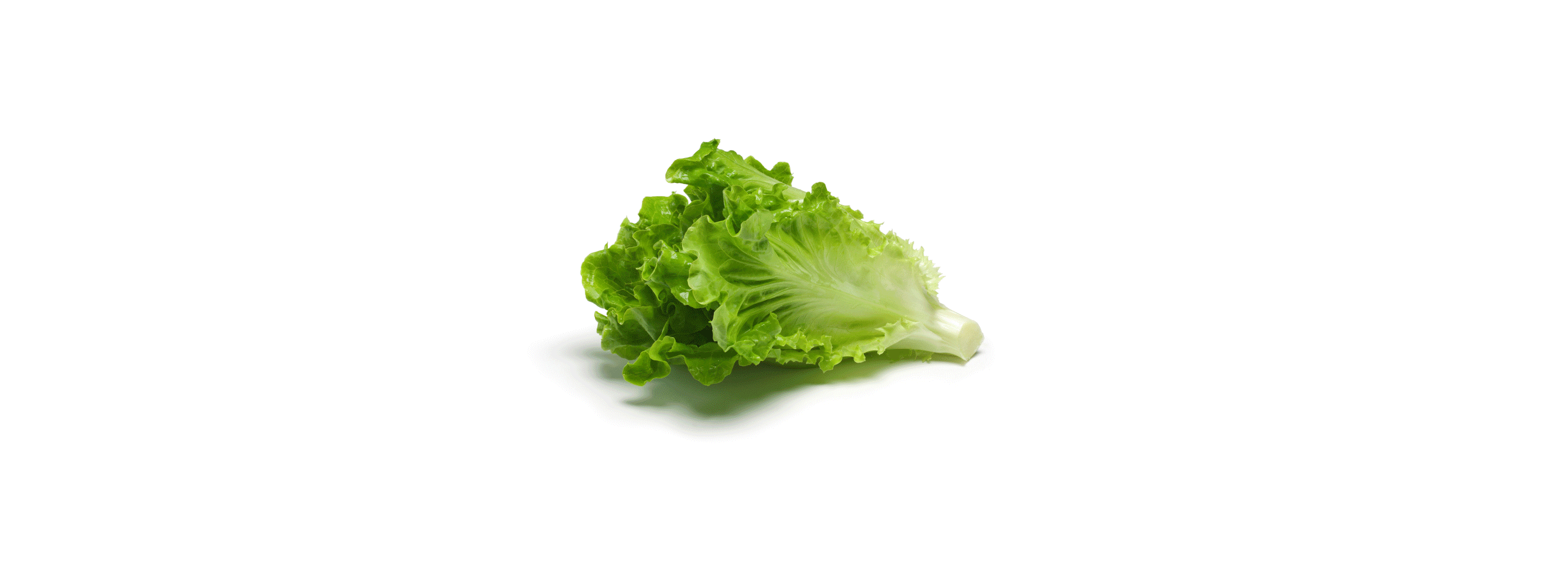 LO_Unimed_Livro-Receitas_Behance_8_GIF.gif