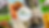 Tort and the hair web resize.png
