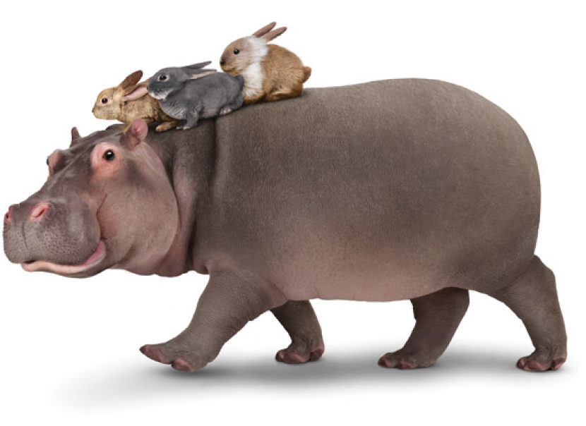 Hippo-3-Rabbits-On-Back-Walk_sh_m 2.png