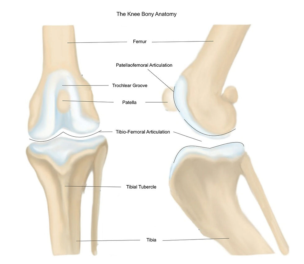 Patellar Tacking Disorder