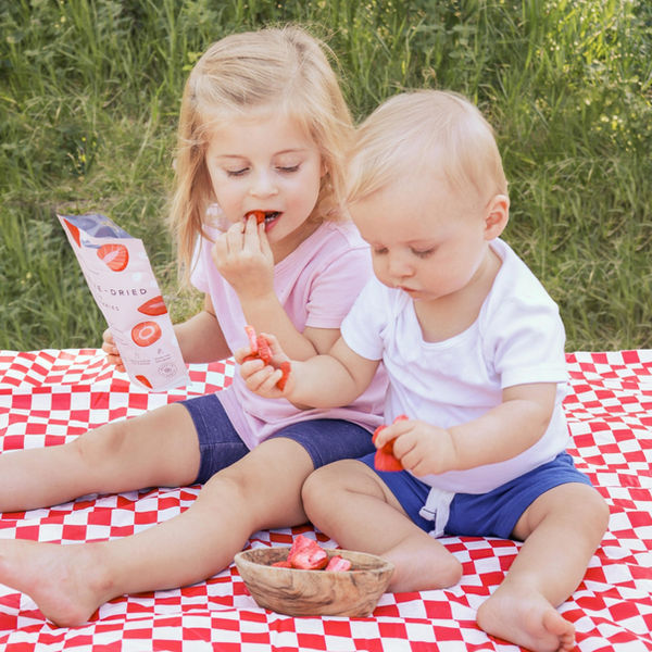 Kids Eating Freeze-Dried Dutchess Strawberries