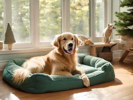 Discover Top Pet Products of 2021
