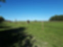 20200707_181620.jpg
