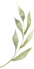 AdobeStock_874360114_24_edited.png