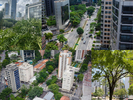 ÁREAS PERMEÁVEIS, e porque elas são tão importantes para as cidades.