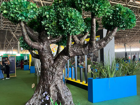 Semana da Árvore: reflexão sobre sustentabilidade
