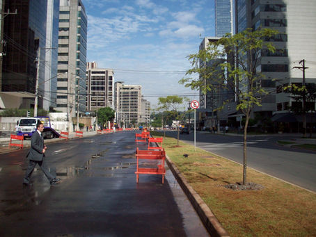 Colmeia: duas décadas cuidando do verde na Vila Olímpia