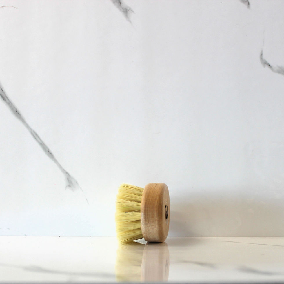 Miniatura: Spazzola pulisci tartufi