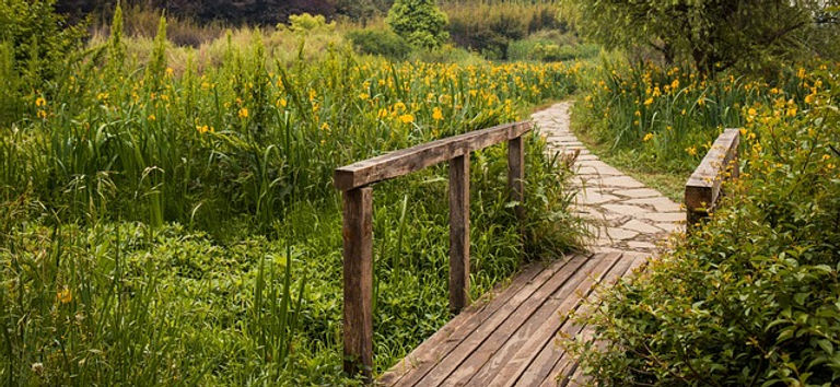 Weg mit Brücke.jpg