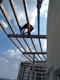 หนามกันนก