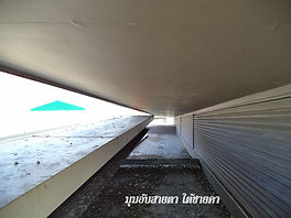 หนามกันนกพิราบแสตนเลส หนามกันนก หนามกันนกพิราบ เหล็กแหลมกันนก ตาข่ายกันนก