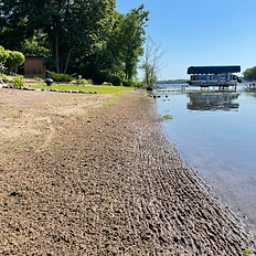 a clean and well groomed Minnesota shoreline