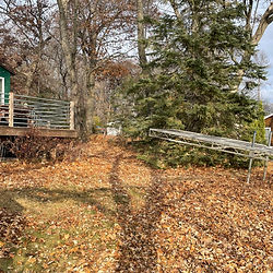 a yard with leaves