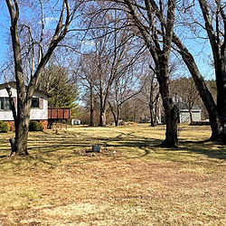 a yard cleaned of leaves in the fall