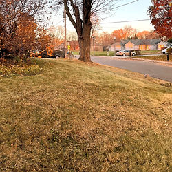 A yard in the fall that was cleaned up and has no more leaves