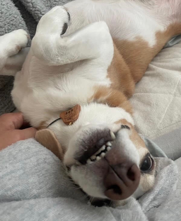 サムネイル： ホメオペンダント