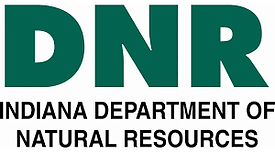 iDNR.png