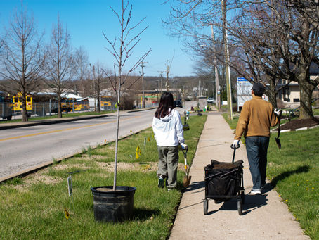 Phase 2: Bloomington's 'Cool Corridors' Project!