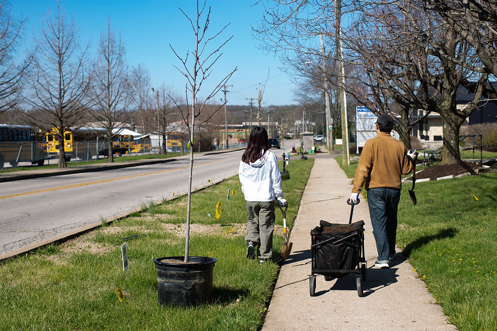 Phase 2: Bloomington's 'Cool Corridors' Project!