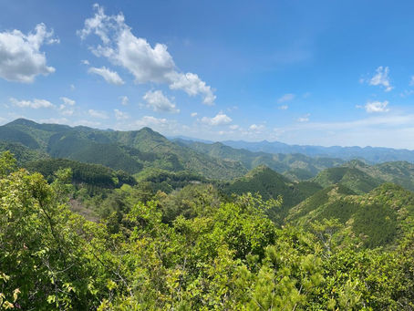 Kumano Kodo – der japanische Pilgerweg Tag 4