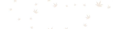Hazelnut BG.png