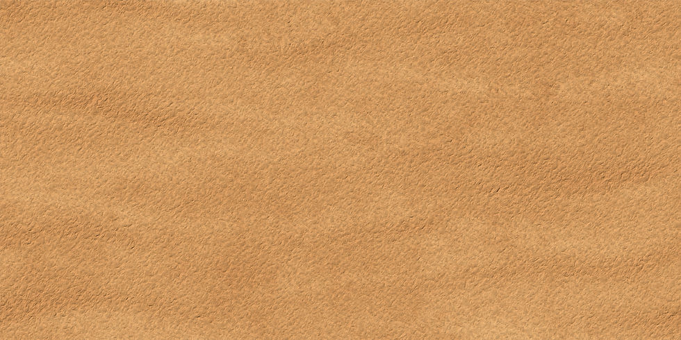 AdobeStock_958057551.jpeg