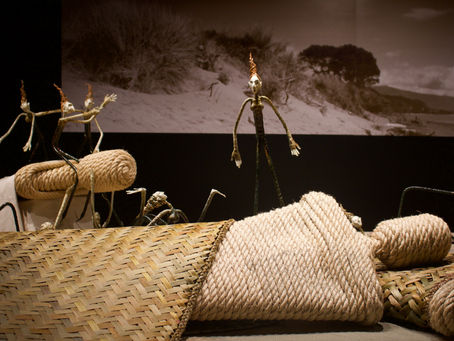 The Body Snatchers.. A Fairy Tale?