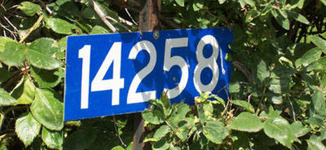 Blue address marker with the number 14258 on it mounted to a stake in bushes