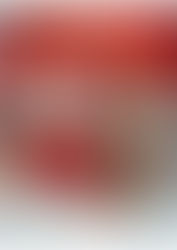 「インフル流行の季節…乾燥対策と愛犬ケアをしっかりと✨」