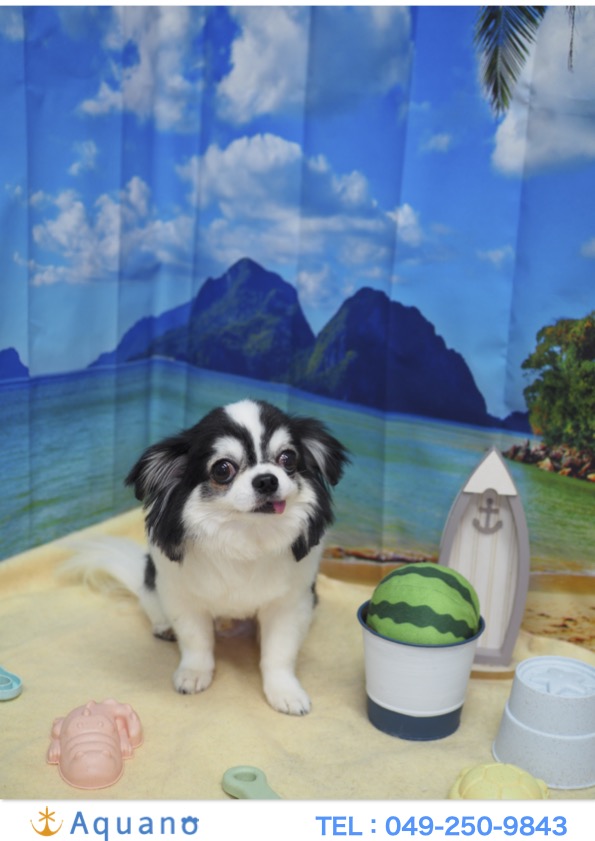 混んでいた理由
